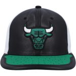 NBA men8217s chicago bulls mitchell amp ness whitegreen day one snapback hat Collection - Official Jerseys & Hats | NBA Store