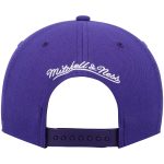 NBA men8217s toronto raptors mitchell amp ness purple hardwood classics team ground 2.0 snapback hat Collection - Official Jerseys & Hats | NBA Store
